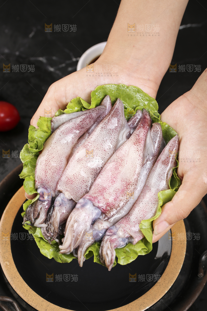 深底上的海兔
