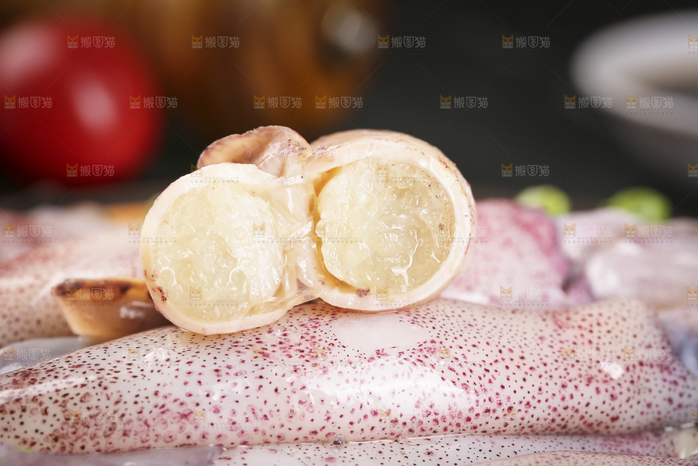 深底上的海兔