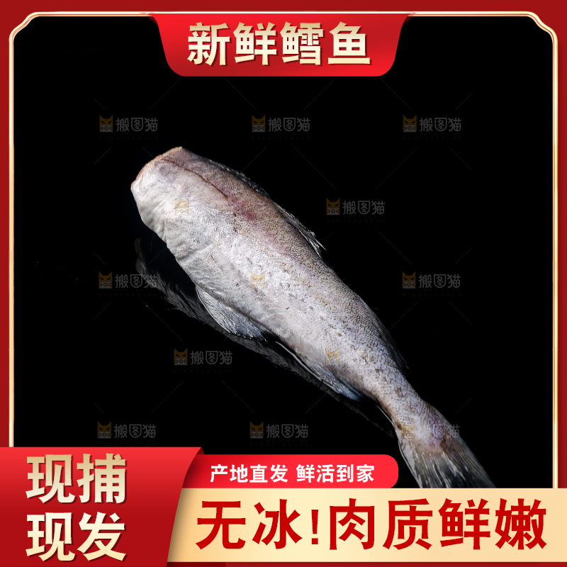深底上的鳕鱼