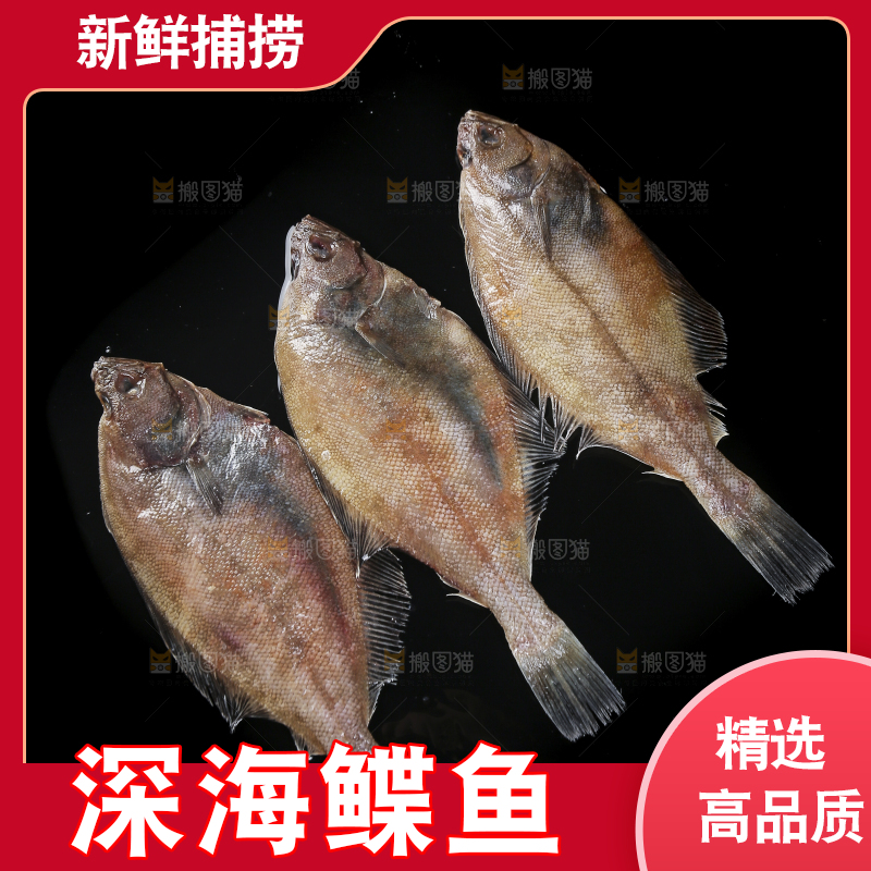 深底上的鲽鱼