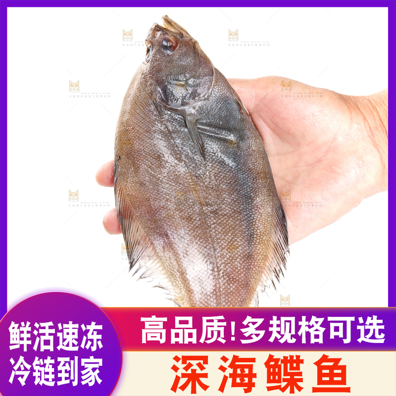 白底上的鲽鱼
