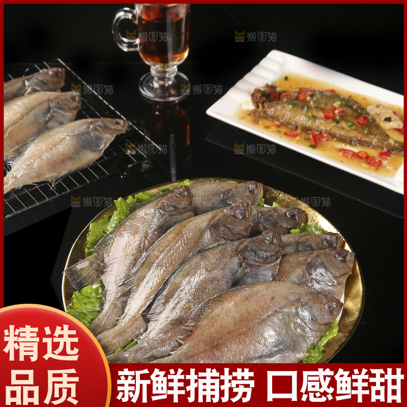 深底上的鲽鱼