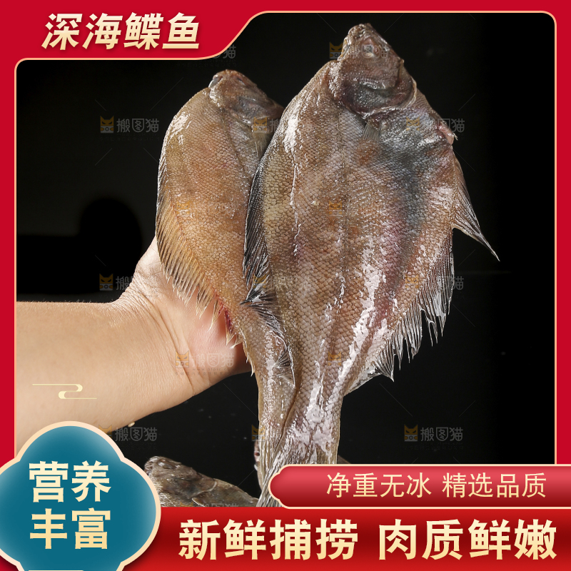 深底上的鲽鱼