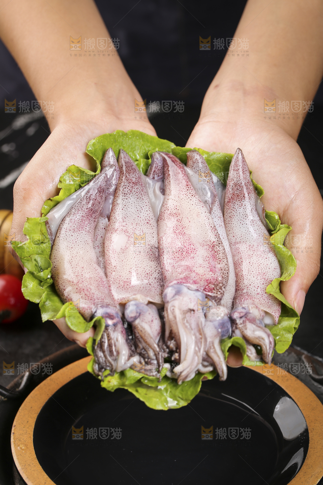 深底上的海兔