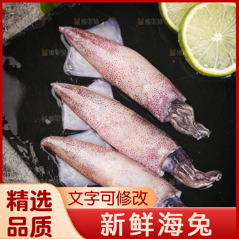 深底上的海兔