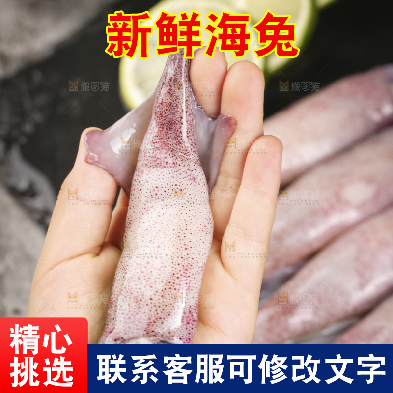 深底上的海兔