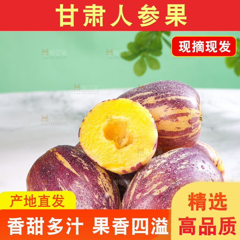 浅底上的民勤人参果
