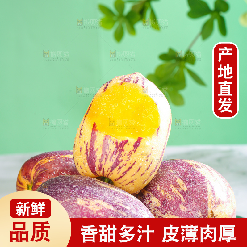 浅底上的民勤人参果