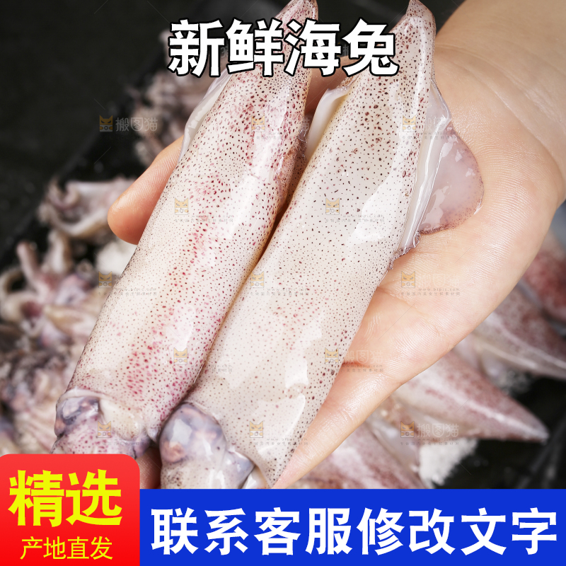 深底上的海兔