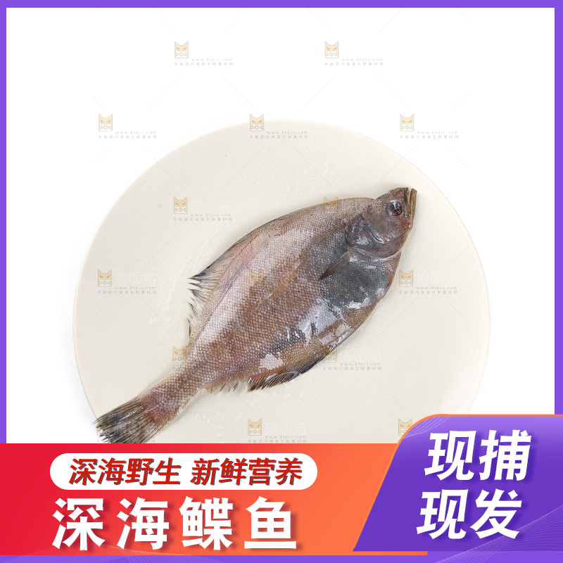 白底上的鲽鱼