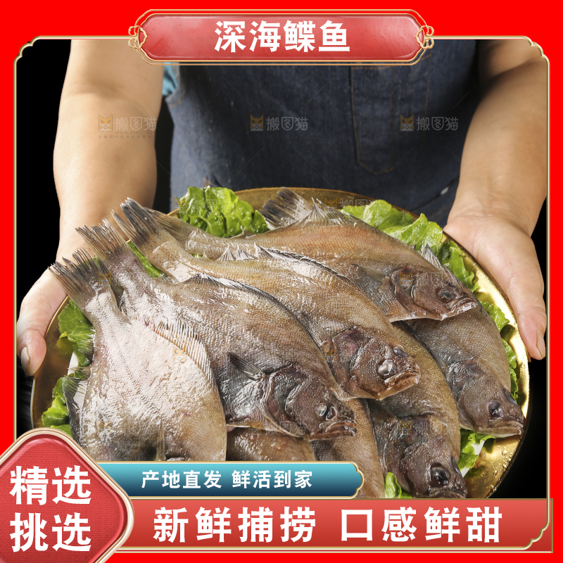 深底上的鲽鱼