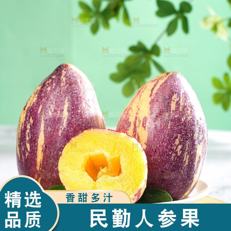 浅底上的民勤人参果