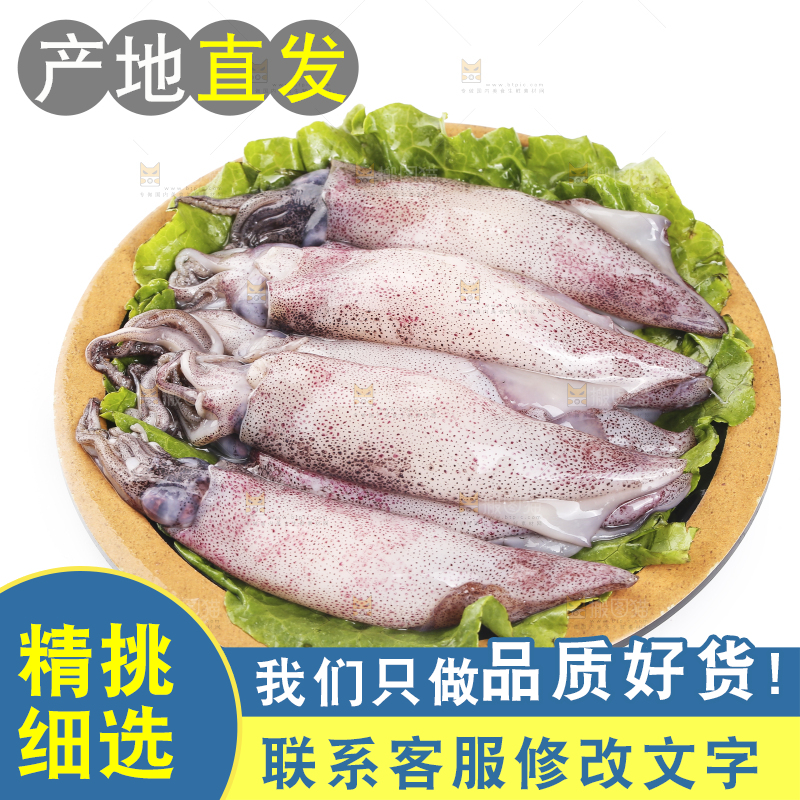 白底上的海兔