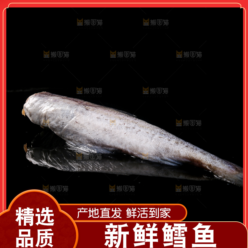 深底上的鳕鱼