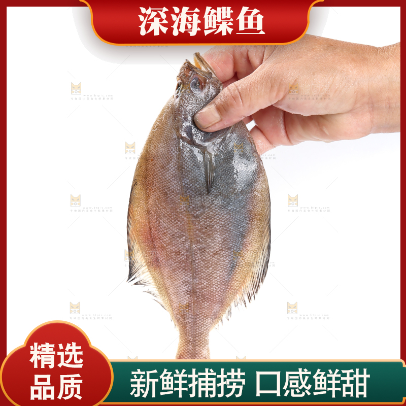 白底上的鲽鱼
