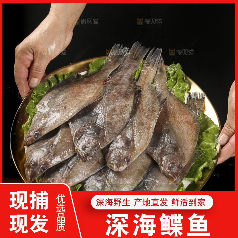 深底上的鲽鱼
