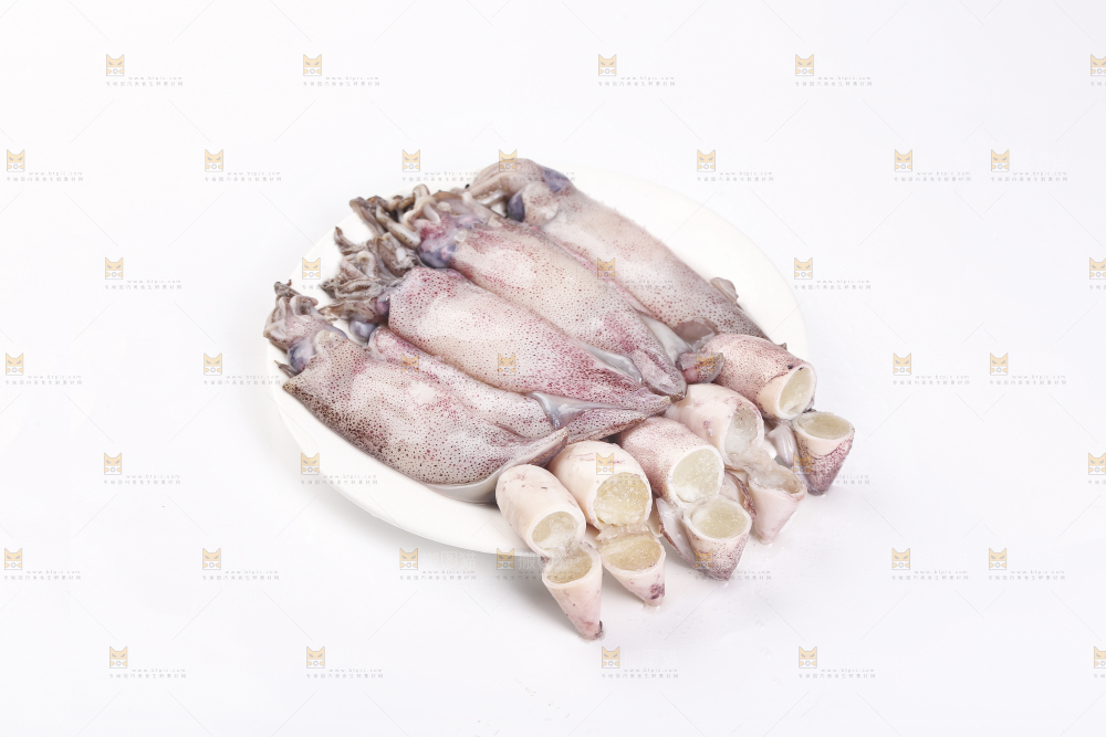白底上的海兔