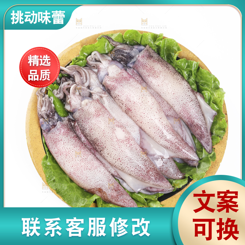 白底上的海兔