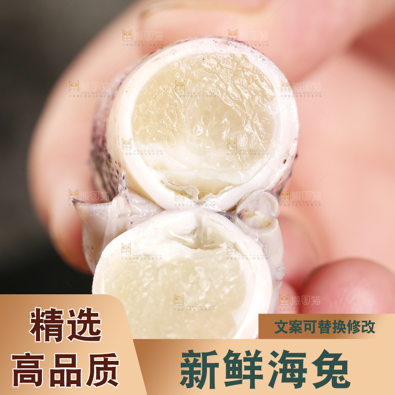 深底上的海兔
