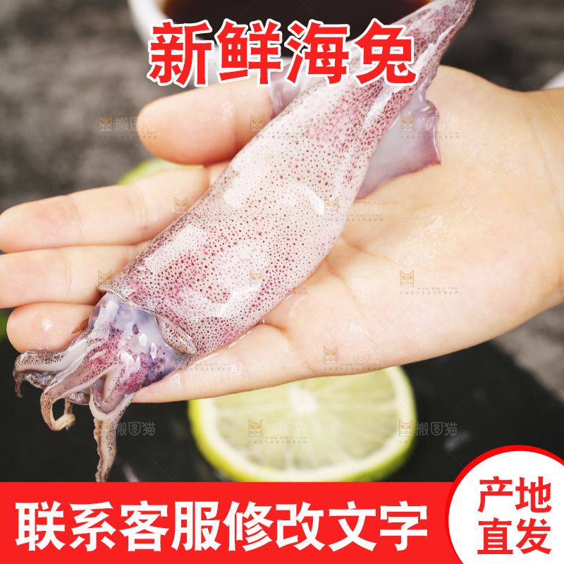 深底上的海兔