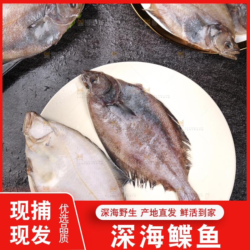 深底上的鲽鱼