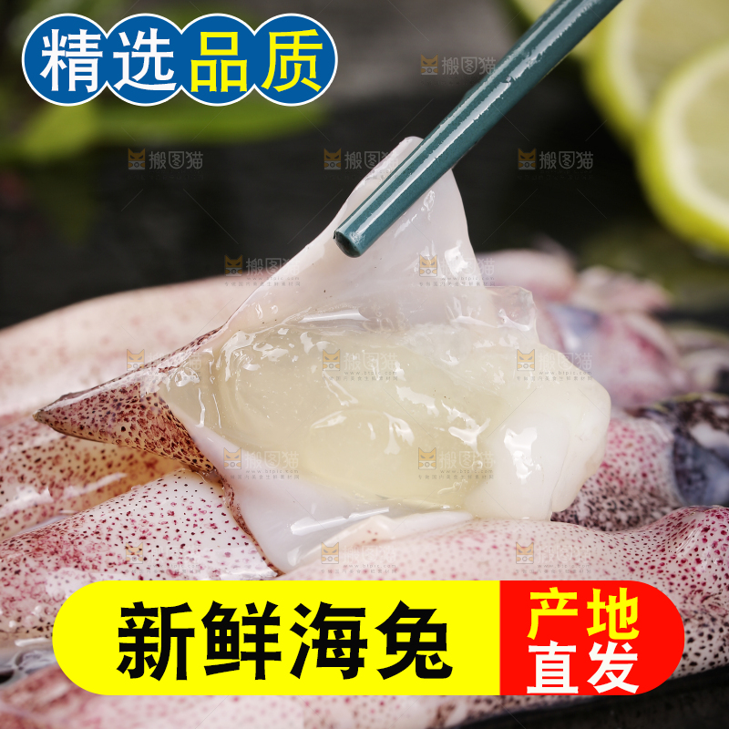 深底上的海兔