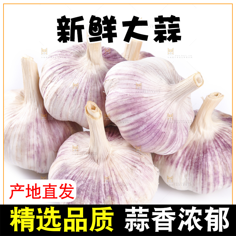 白底上的紫皮干大蒜