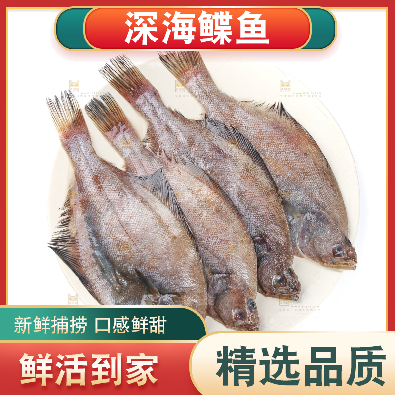 白底上的鲽鱼