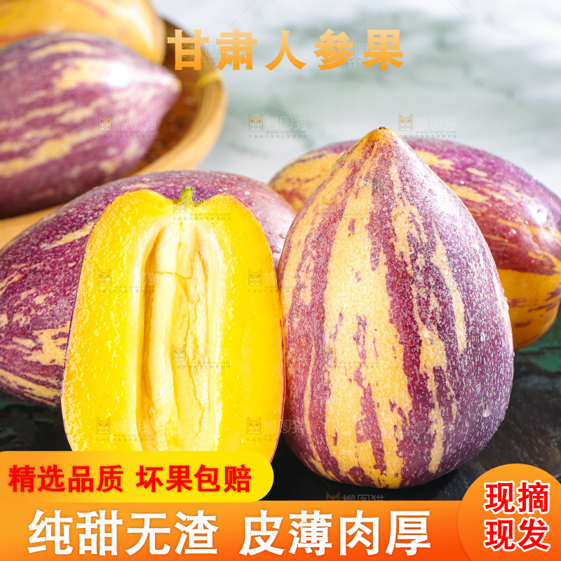 浅底上的民勤人参果