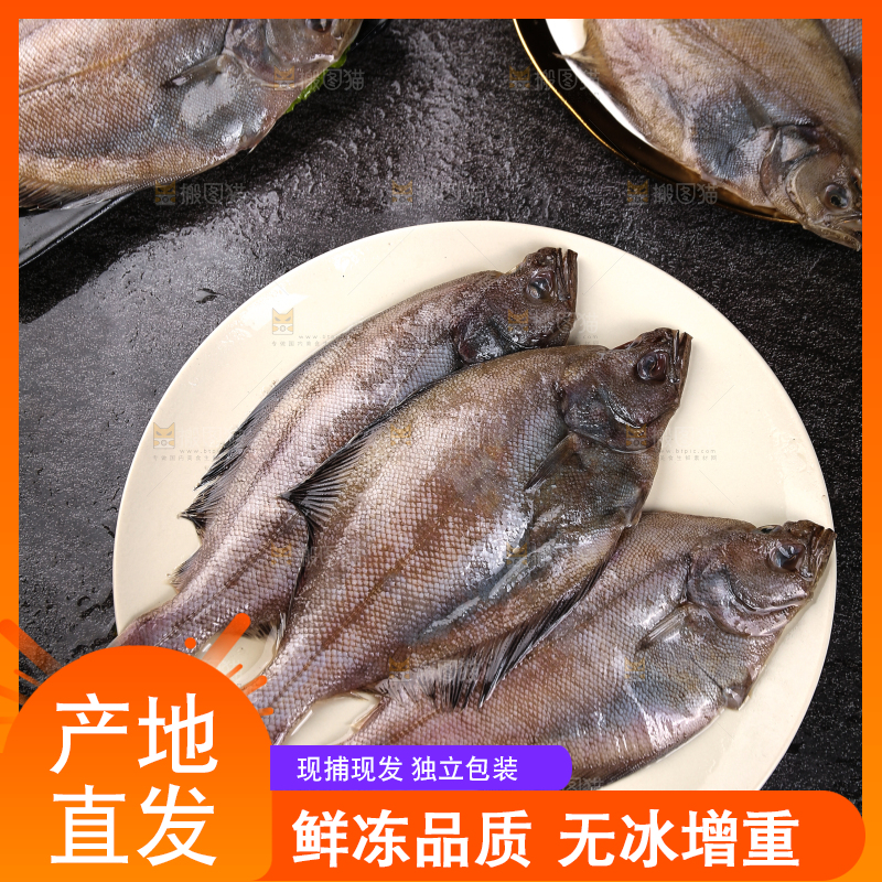 深底上的鲽鱼