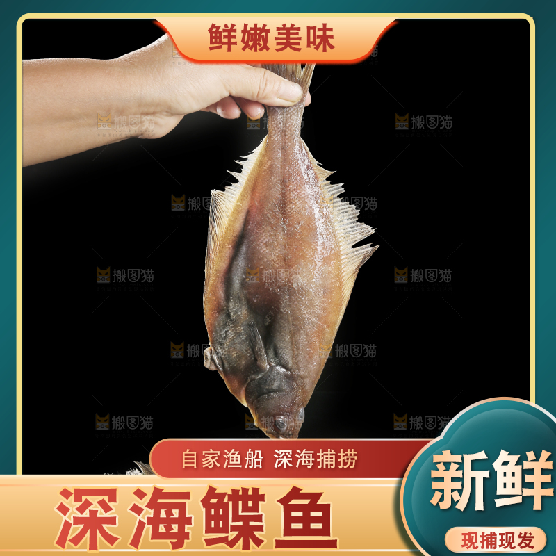 深底上的鲽鱼