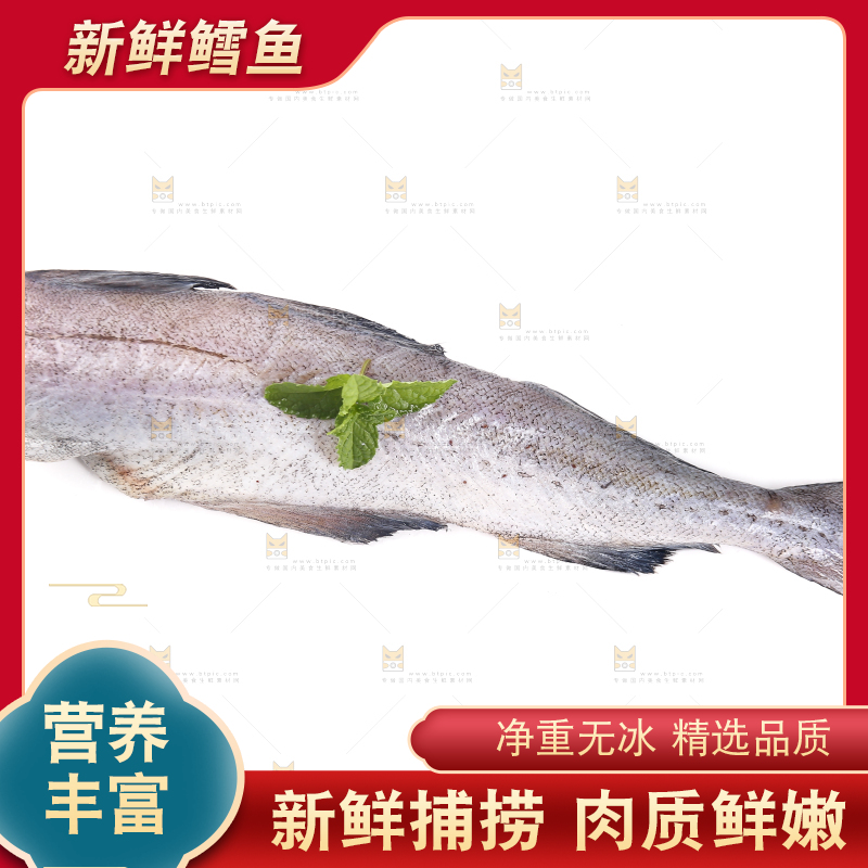 白底上的鳕鱼