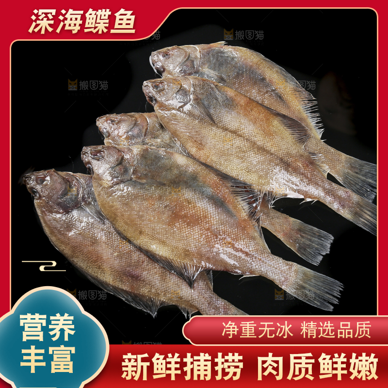 深底上的鲽鱼
