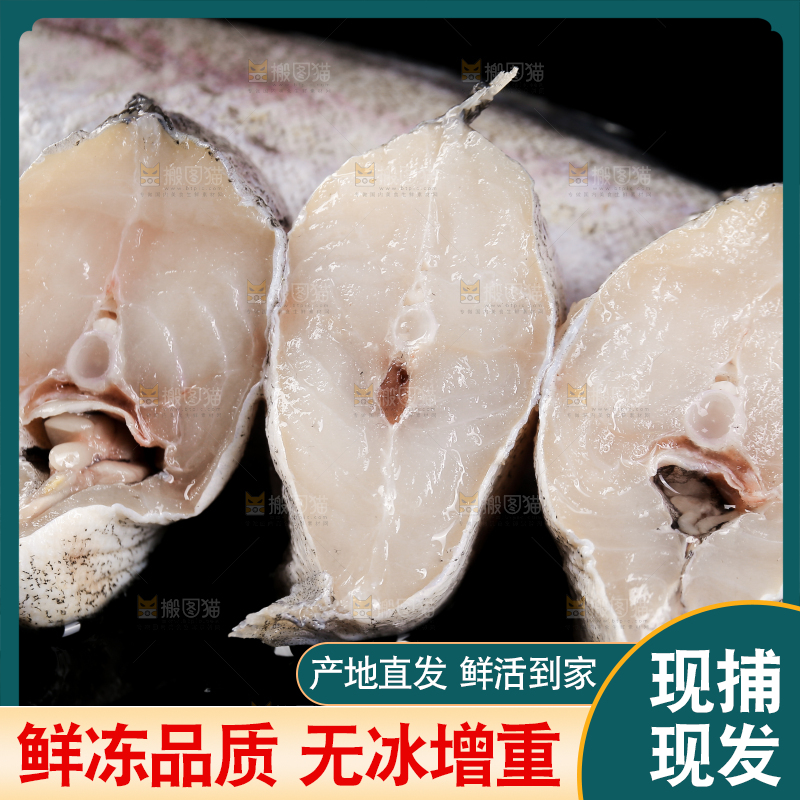 深底上的鳕鱼