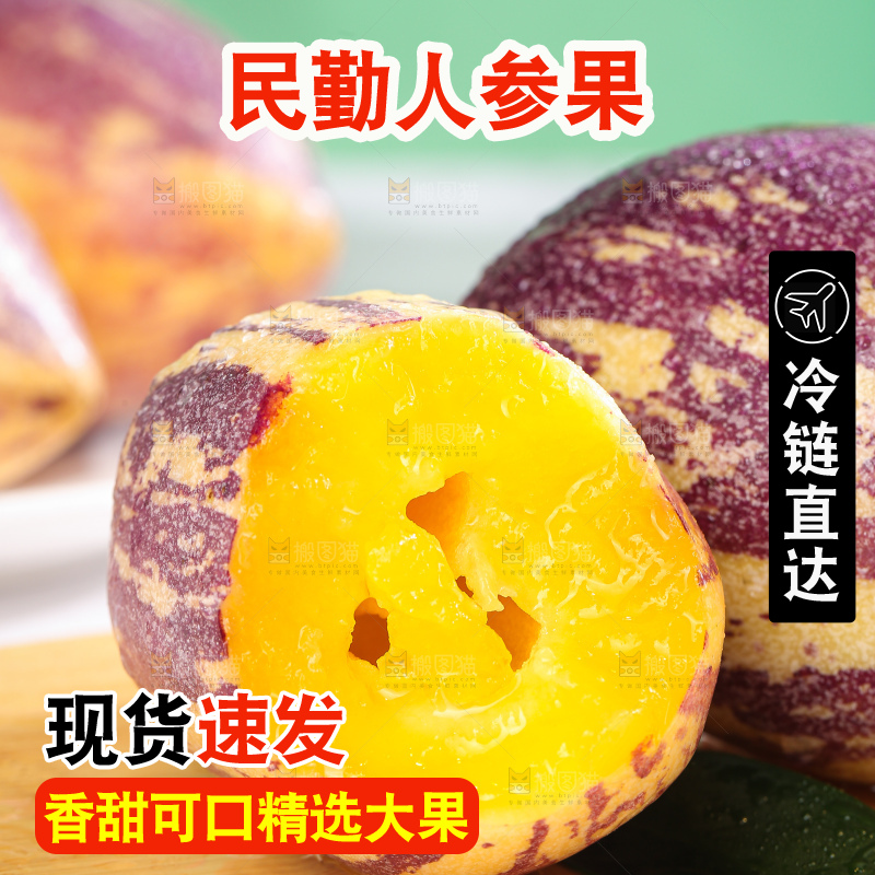 浅底上的民勤人参果