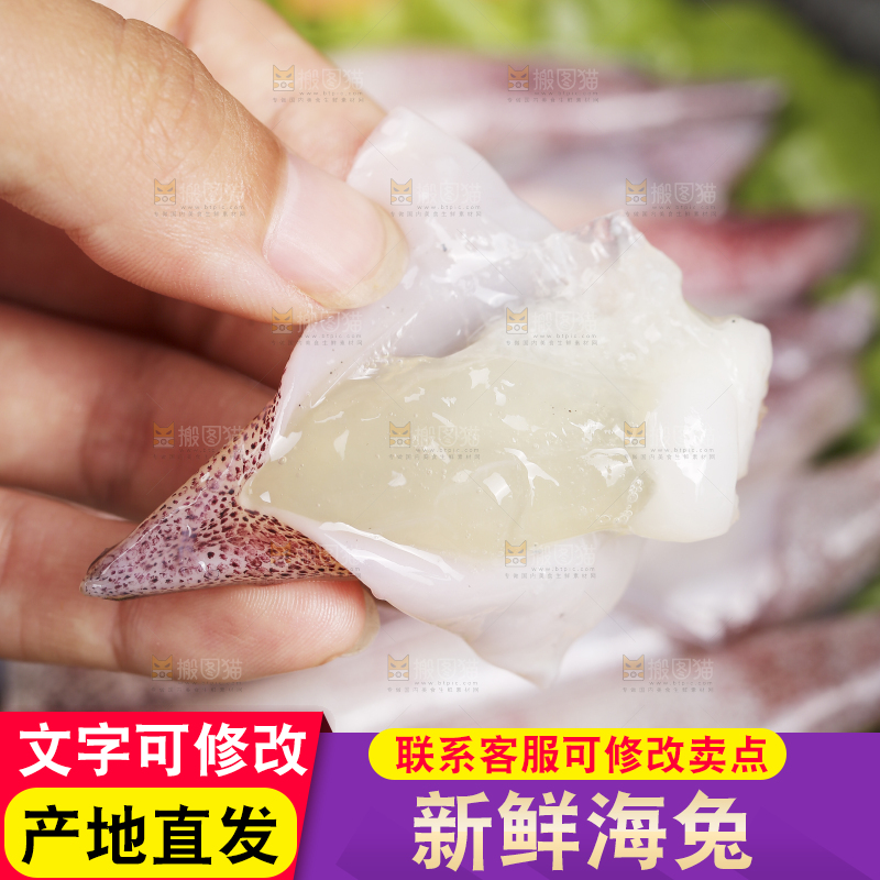 深底上的海兔