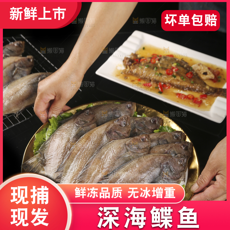 深底上的鲽鱼