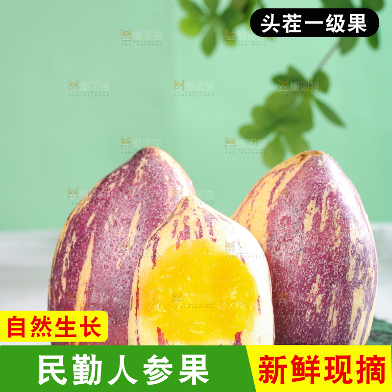 浅底上的民勤人参果