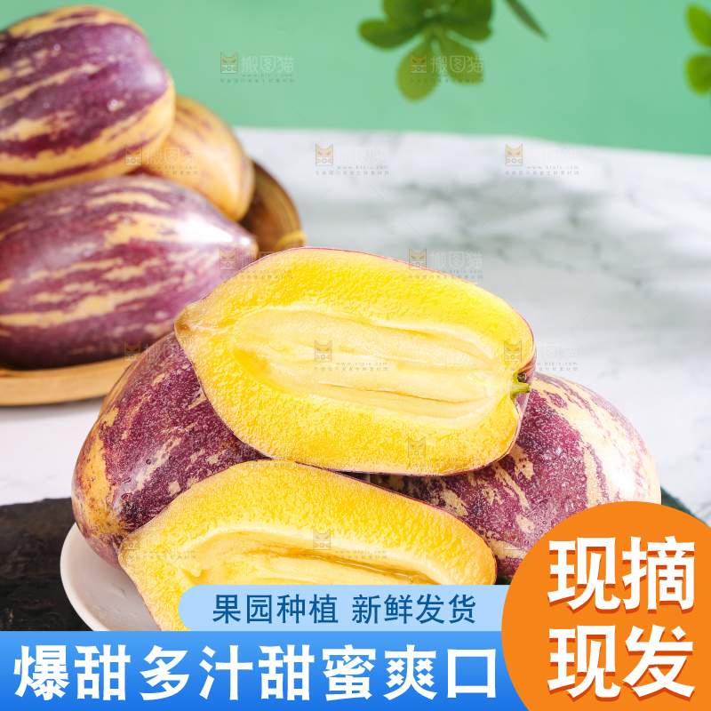 浅底上的民勤人参果