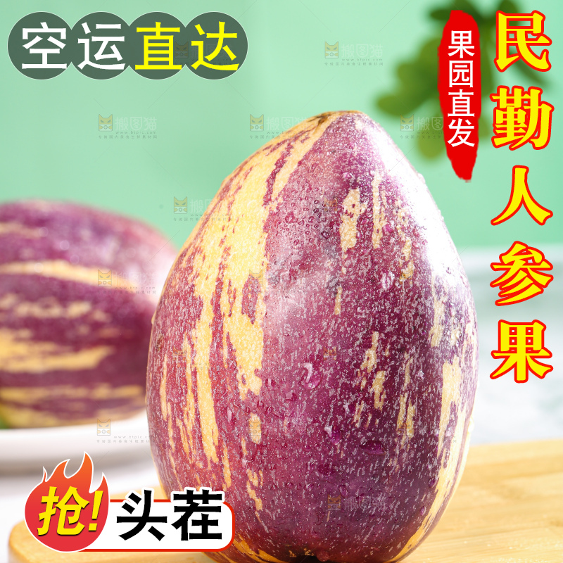 浅底上的民勤人参果