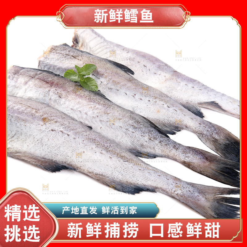 白底上的鳕鱼