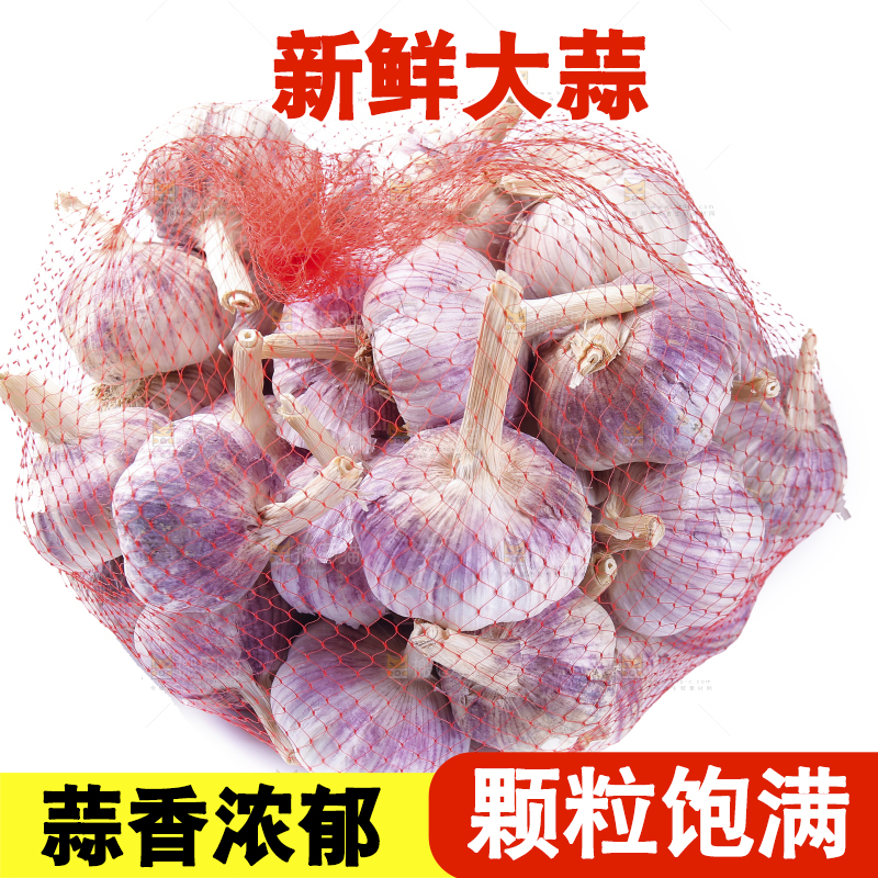 白底上的紫皮干大蒜
