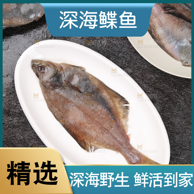 深底上的鲽鱼