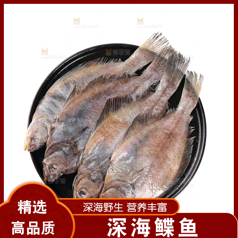 白底上的鲽鱼
