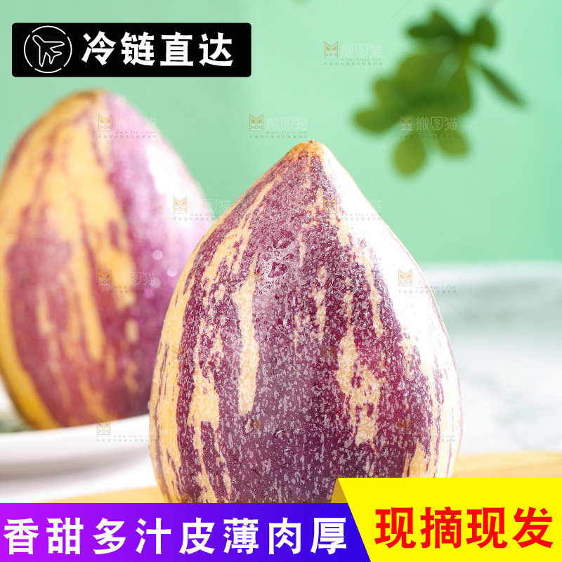 浅底上的民勤人参果