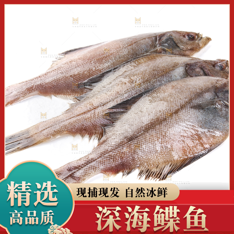白底上的鲽鱼