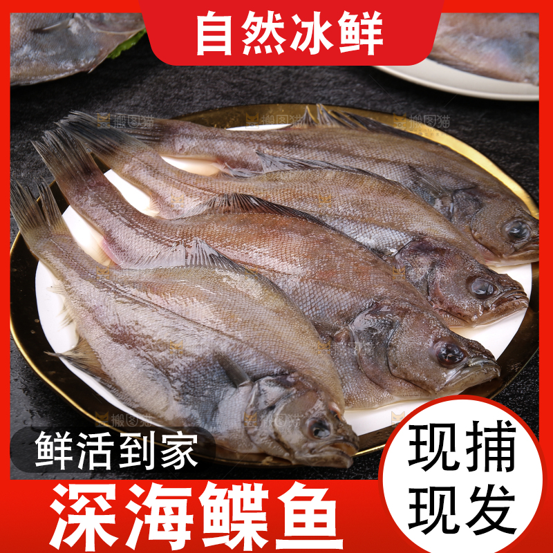 深底上的鲽鱼