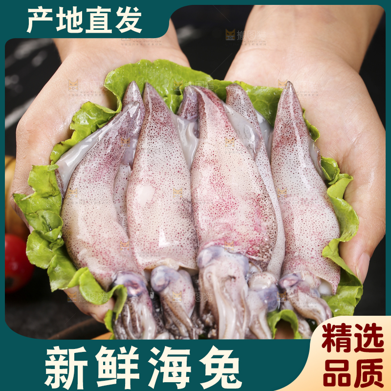 深底上的海兔