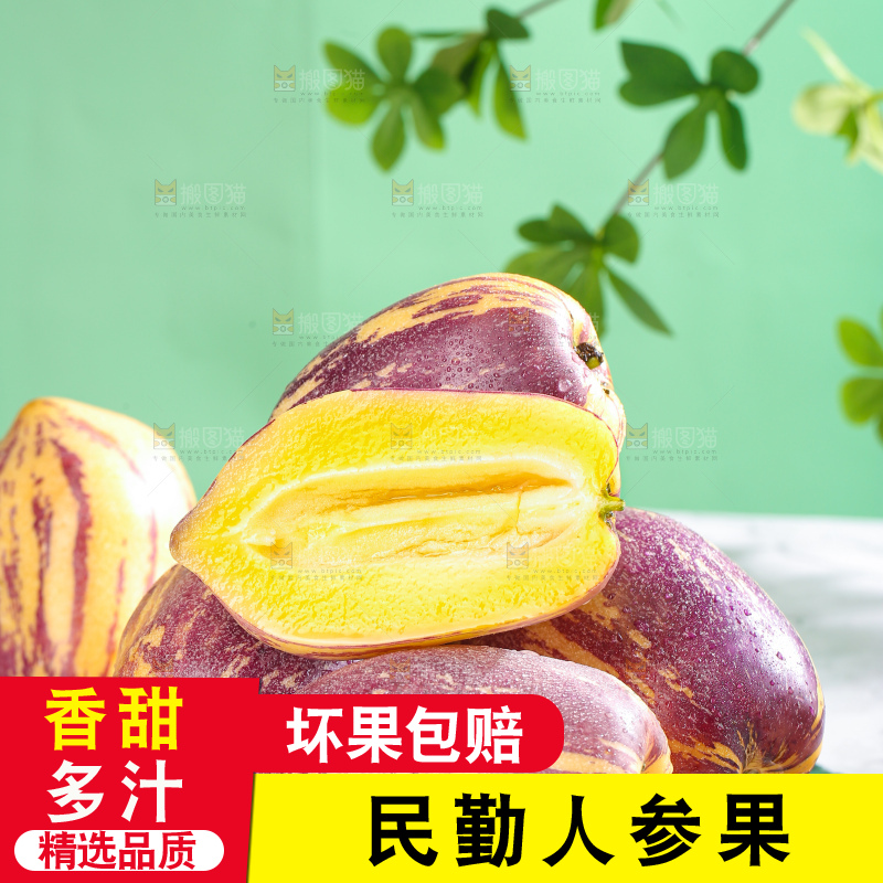 浅底上的民勤人参果