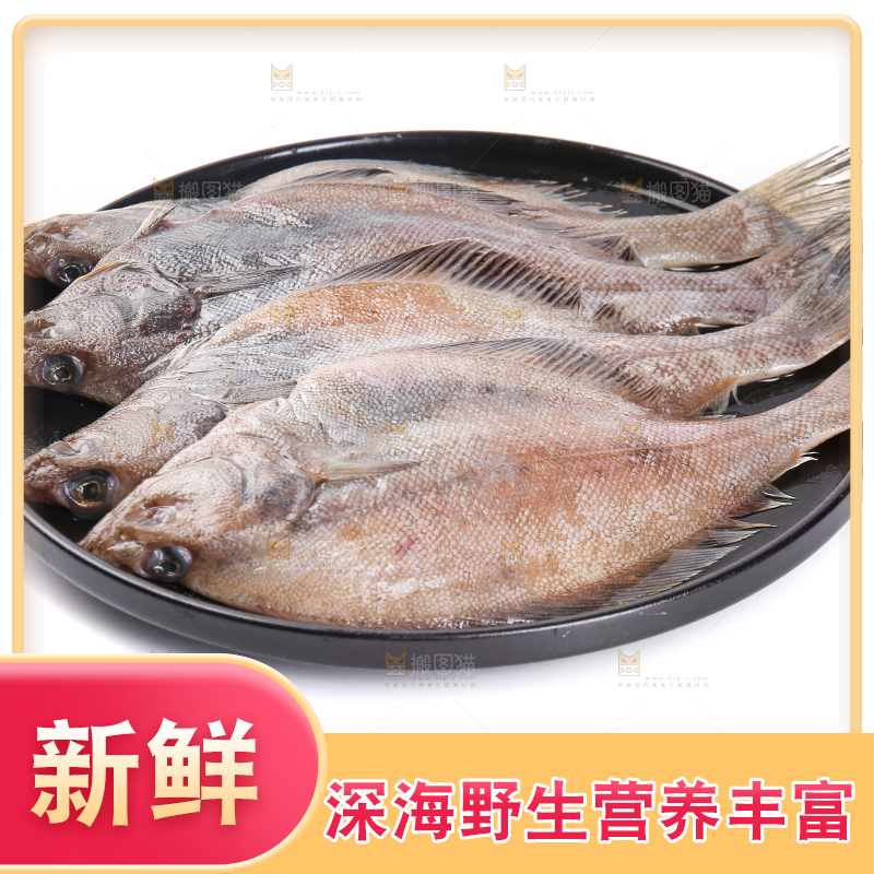 白底上的鲽鱼